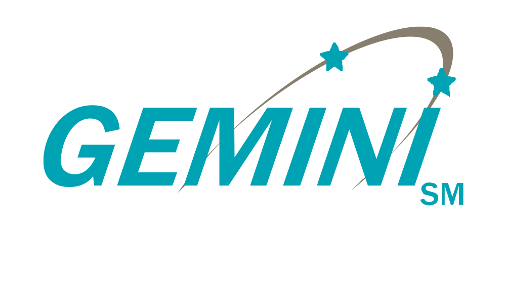 Gemini Enterprises